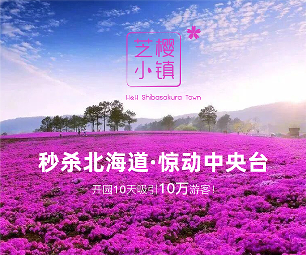 芝樱小镇品牌营销策划